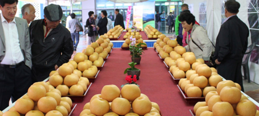 Cheonan Seonghwan Pear Festiva